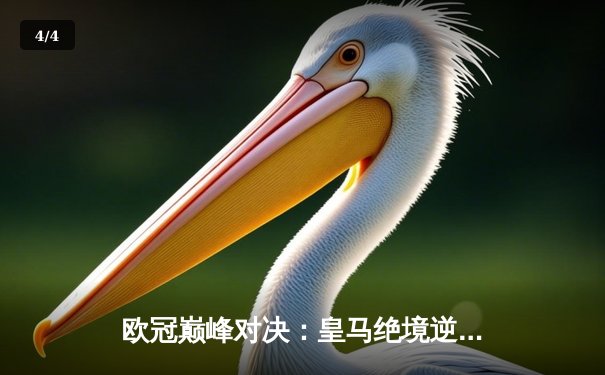 欧冠巅峰对决：皇马绝境逆转曼城，本泽马加时赛一剑封喉 - 4